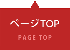 ページTOPへ